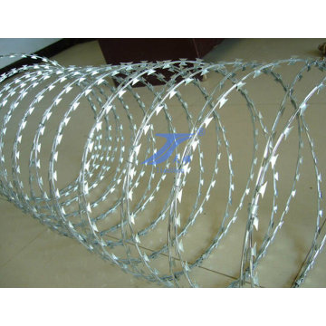 Galvanized Coil Razor Barbed Wire (factory)